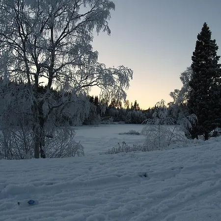 Vindfjelltunet Gjestegaard 3* Steinsholt